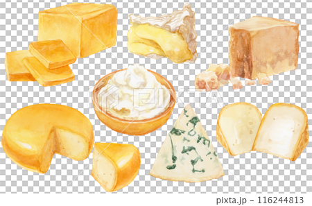 Cheese watercolor illustration set 2 116244813