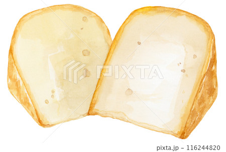 ゴーダチーズの水彩イラスト 116244820