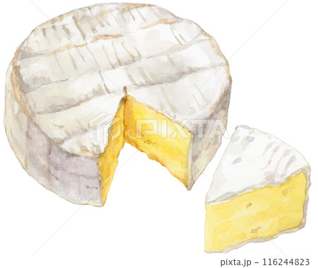 カマンベールチーズ(ホール)の水彩イラスト 116244823