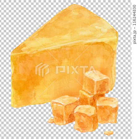 Cheddar cheese watercolor illustration 116244830