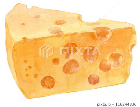 穴あきチーズの水彩イラスト 116244836