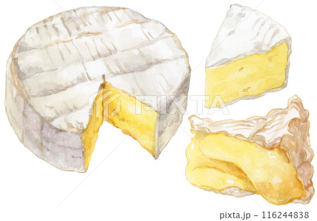カマンベールチーズ　水彩イラストセット 116244838