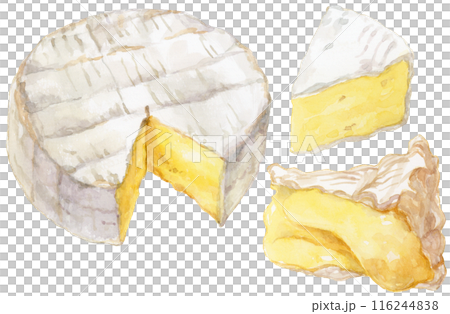 卡門貝爾起司水彩插圖集 116244838