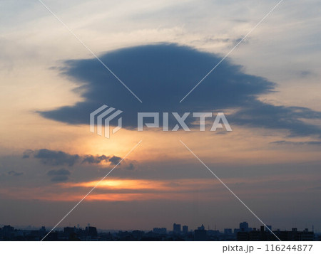 雲の隙間から見える。早朝神戸市内から夜明け 116244877