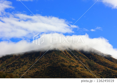 カラフルな紅葉 116245019