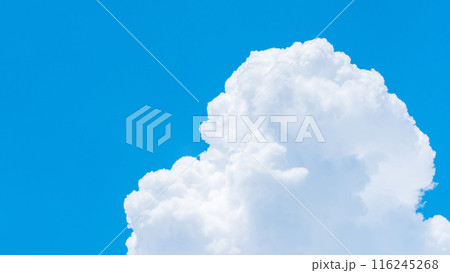 夏の青空 116245268