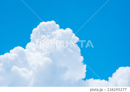 夏の青空 116245277