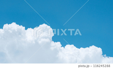 夏の青空 116245288