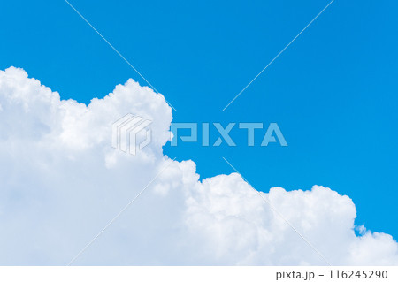 夏の青空 116245290