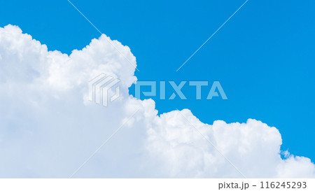 夏の青空 夏の青空 116245293