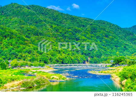 京都 嵐山の初夏 京都 嵐山の初夏 116245365