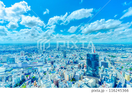 東京池袋から望む都市風景  東京池袋から望む都市風景  116245366