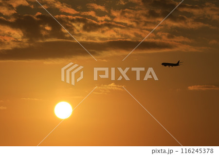 房総の海と日の出の風景 116245378