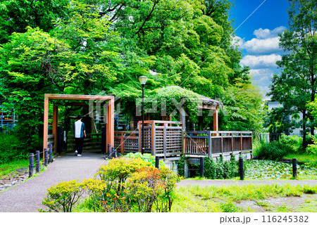 杉並区にある読書の森公園　杉並区立中央図書館の風景 116245382