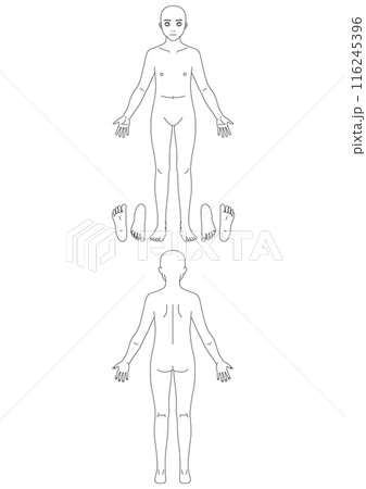 医療】入院・入居・検査時の身体状況確認用の人体線図のイラスト素材 