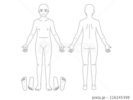 【医療】入院・入居・検査時の身体状況確認用の人体線図 116245399