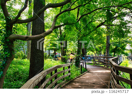 東京にある杉並区立中央図書館　読書の森公園の風景 116245717