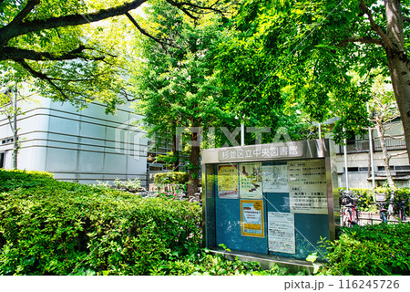 東京にある杉並区立中央図書館 読書の森公園の風景 東京にある杉並区立中央図書館 読書の森公園の風景 116245726