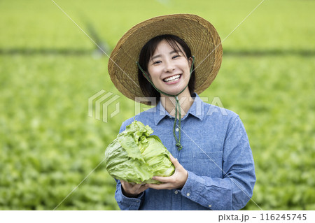 収穫した野菜を持つ女性 収穫した野菜を持つ女性 116245745