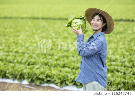 収穫した野菜を持つ女性 116245746