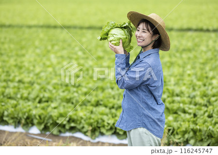 収穫した野菜を持つ女性 収穫した野菜を持つ女性 116245747