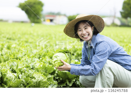 収穫した野菜を持つ女性 収穫した野菜を持つ女性 116245788