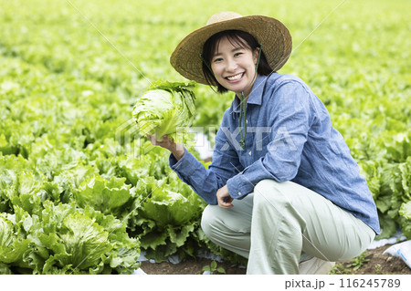 収穫した野菜を持つ女性 収穫した野菜を持つ女性 116245789