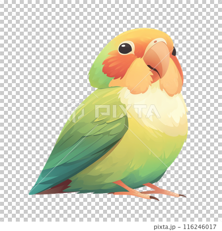 Colorful cartoon parrot with vibrant green, orange, and yellow feathers. Perfect for animal and nature-themed designs. 116246017