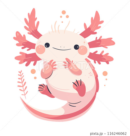 Cute and colorful axolotl illustration with vibrant pink features, perfect for kids' content and nature themes. 116246062