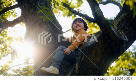 木登りをする子供 116246307