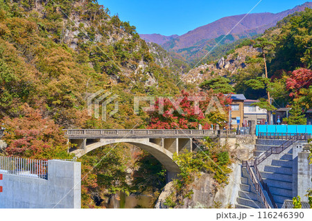秋の山梨県甲府市と甲斐市に架かり昇仙峡の入口となる長潭橋(ながとろばし) 秋の山梨県甲府市と甲斐市に架かり昇仙峡の入口となる長潭橋(ながとろばし) 116246390