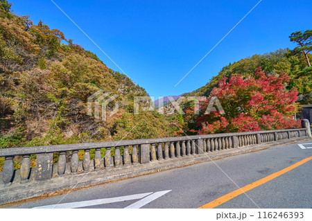 秋の山梨県甲府市と甲斐市に架かり昇仙峡の入口となる長潭橋(ながとろばし）を甲斐市側から見る 116246393