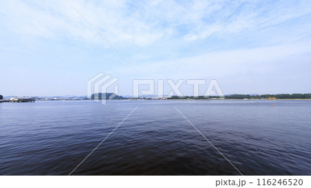 神奈川県横浜市金沢区海の公園の夏 116246520