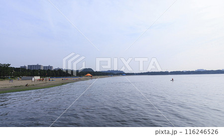 神奈川県横浜市金沢区海の公園の夏 神奈川県横浜市金沢区海の公園の夏 116246526