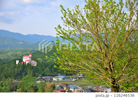 《岐阜県》新緑の中津川市福岡の風景 116246536