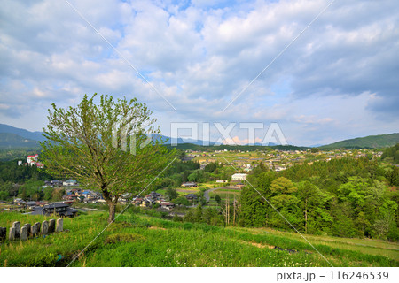 《岐阜県》新緑の中津川市福岡の風景 116246539