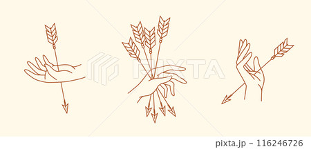 hand and arrow line art illustration hand and arrow line art illustration 116246726