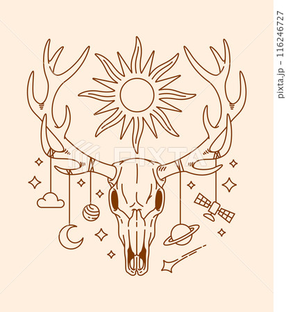 deer skull line art illustration 116246727