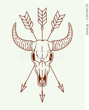 buffalo skull line art illustration buffalo skull line art illustration 116246728