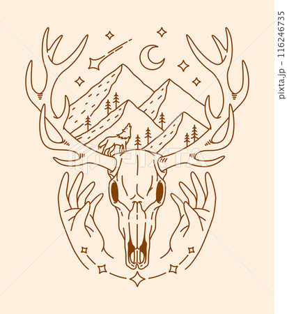 deer skull line art illustration 116246735
