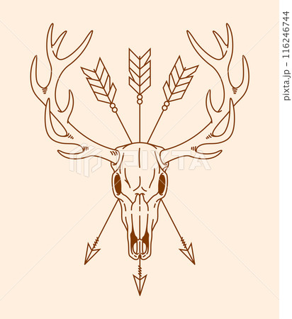 deer skull line art illustration 116246744