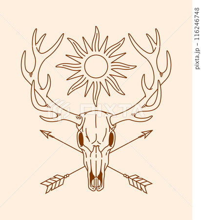 deer skull line art illustration 116246748