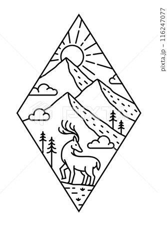 beautiful nature line art illustration vector 116247077