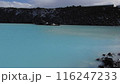 ブルーラグーン 116247233