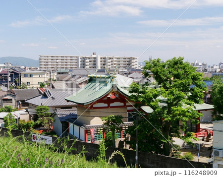 大阪 淀川 日吉神社(淀川南岸堤防脇赤川付近)(初夏) 大阪 淀川 日吉神社(淀川南岸堤防脇赤川付近)(初夏) 116248909