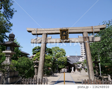 大阪市　大宮（神社）　鳥居と拝殿（東淀川区）（初夏） 116248910