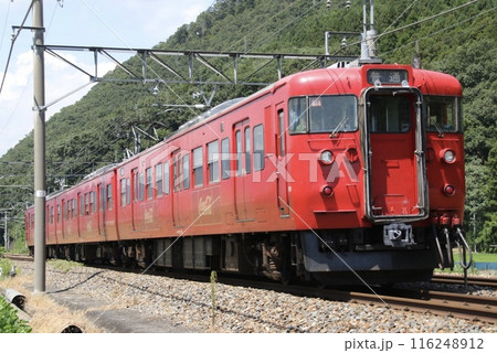 しなの鉄道を行く115系(コカコーラ) しなの鉄道を行く115系(コカコーラ) 116248912