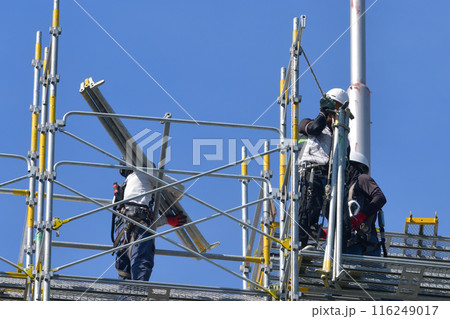 とび職人　仮設足場の解体作業風景 116249017