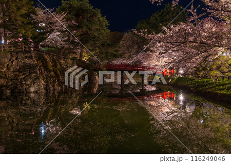 日本さくら名所100選　青森　弘前公園　夜桜ライトアップ 116249046