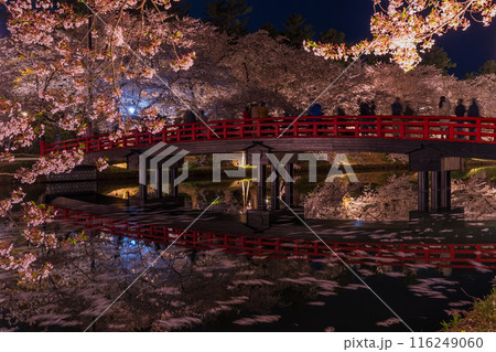 日本さくら名所100選 青森 弘前公園 夜桜ライトアップ 日本さくら名所100選 青森 弘前公園 夜桜ライトアップ 116249060
